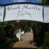 SFC修行・南アフリカ出張12：Black Marlin